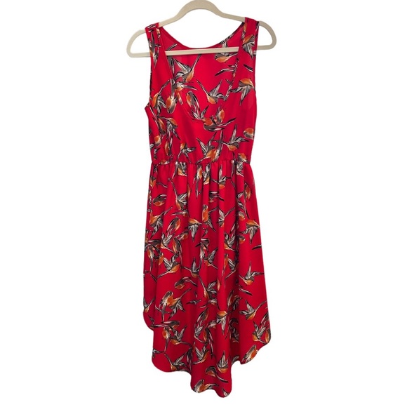 Audrey 3 + 1 Bird Print Dress - Picture 3 of 7